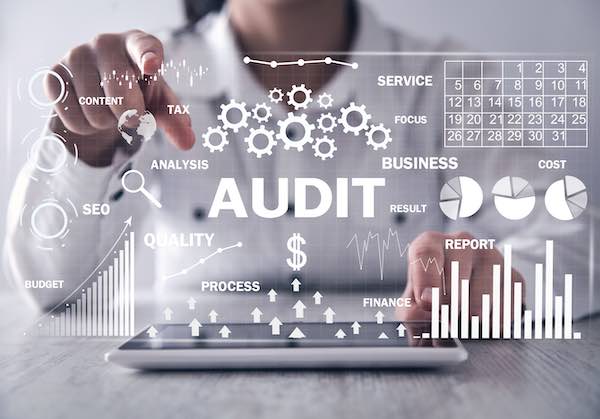 Why Does Your Organization Need An Internal Audit Consultant