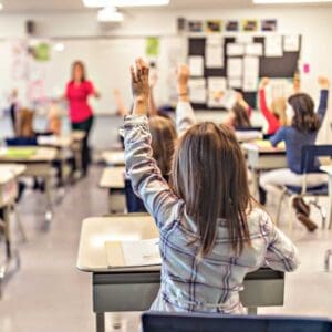 Education sector experience providing consulting services for schools, universities and training organizations with specialized solutions.